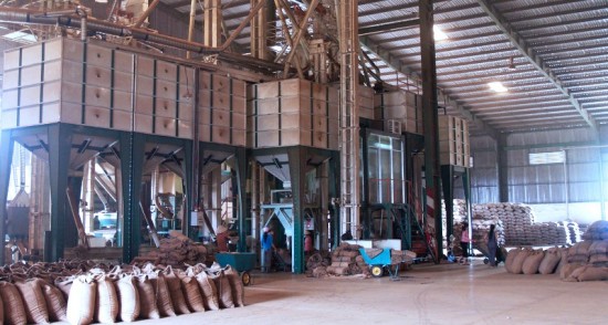 Nhà máy chế biến cà phê xuất khẩu tại Tây nguyên